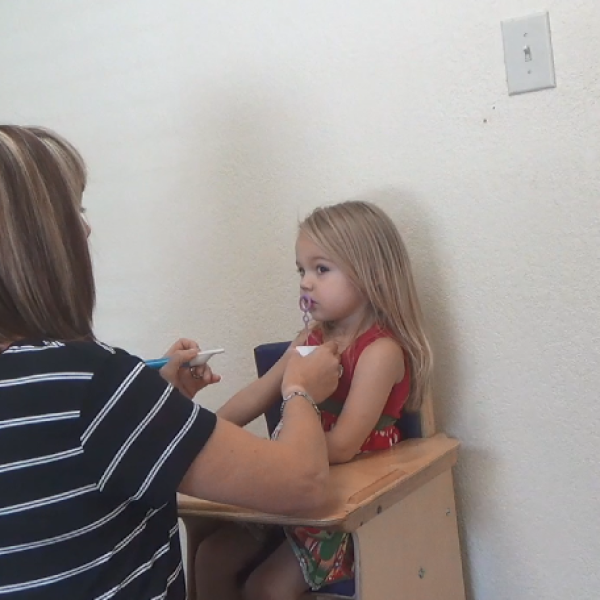 Teaching Vocalization on Command Online Course