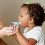 ARK's Z-Vibe Animal Kit